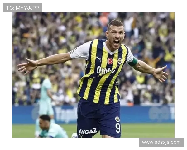 哲科到理查森佛罗伦萨转出盘点